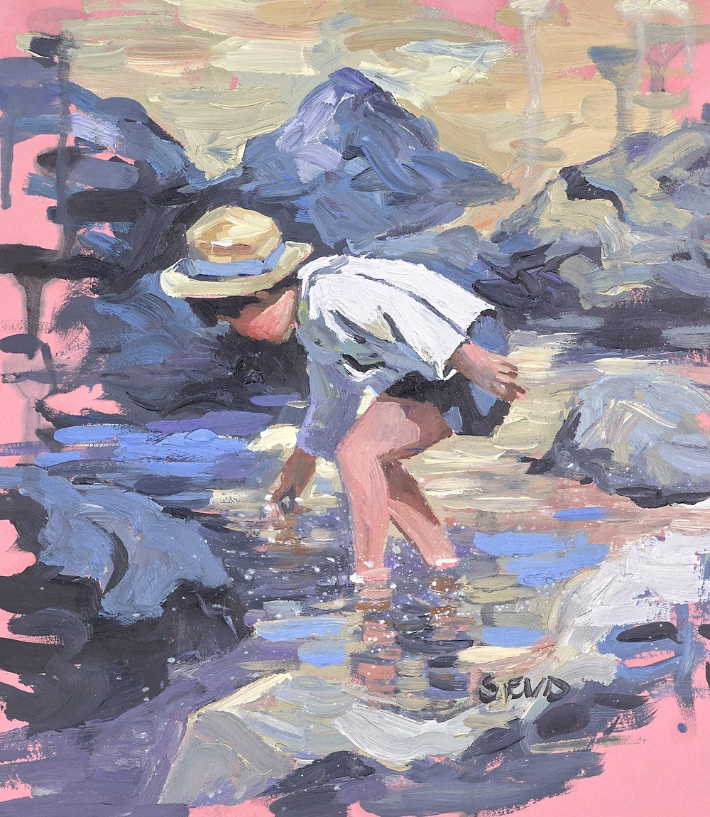 Rockpool Adventure