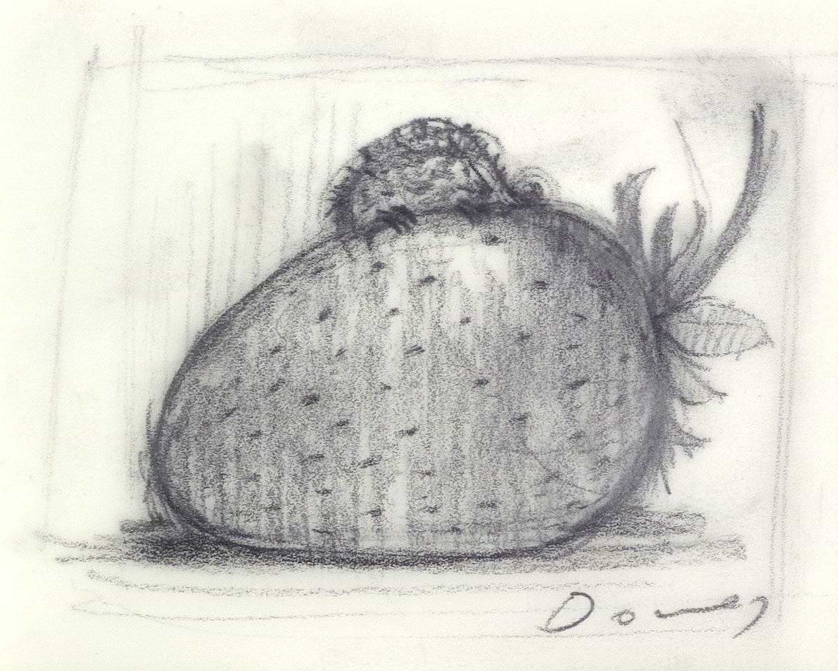 Strawberry And Dreams V (Sketch)