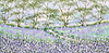 Tranquil Spring Morning