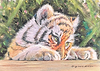 Tiger Cub IV