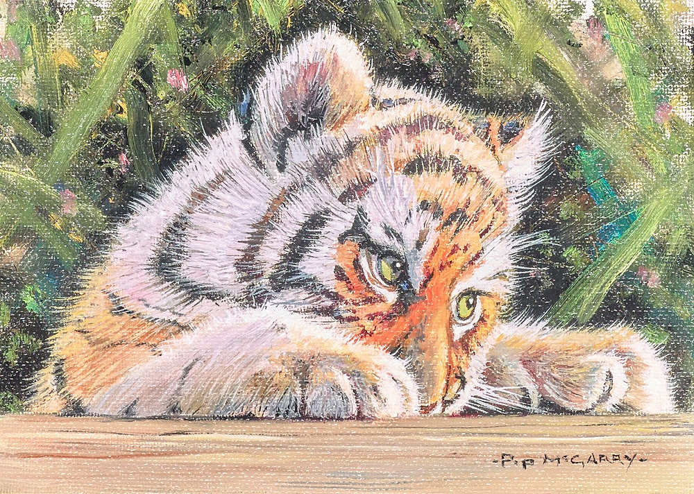 Tiger Cub IV