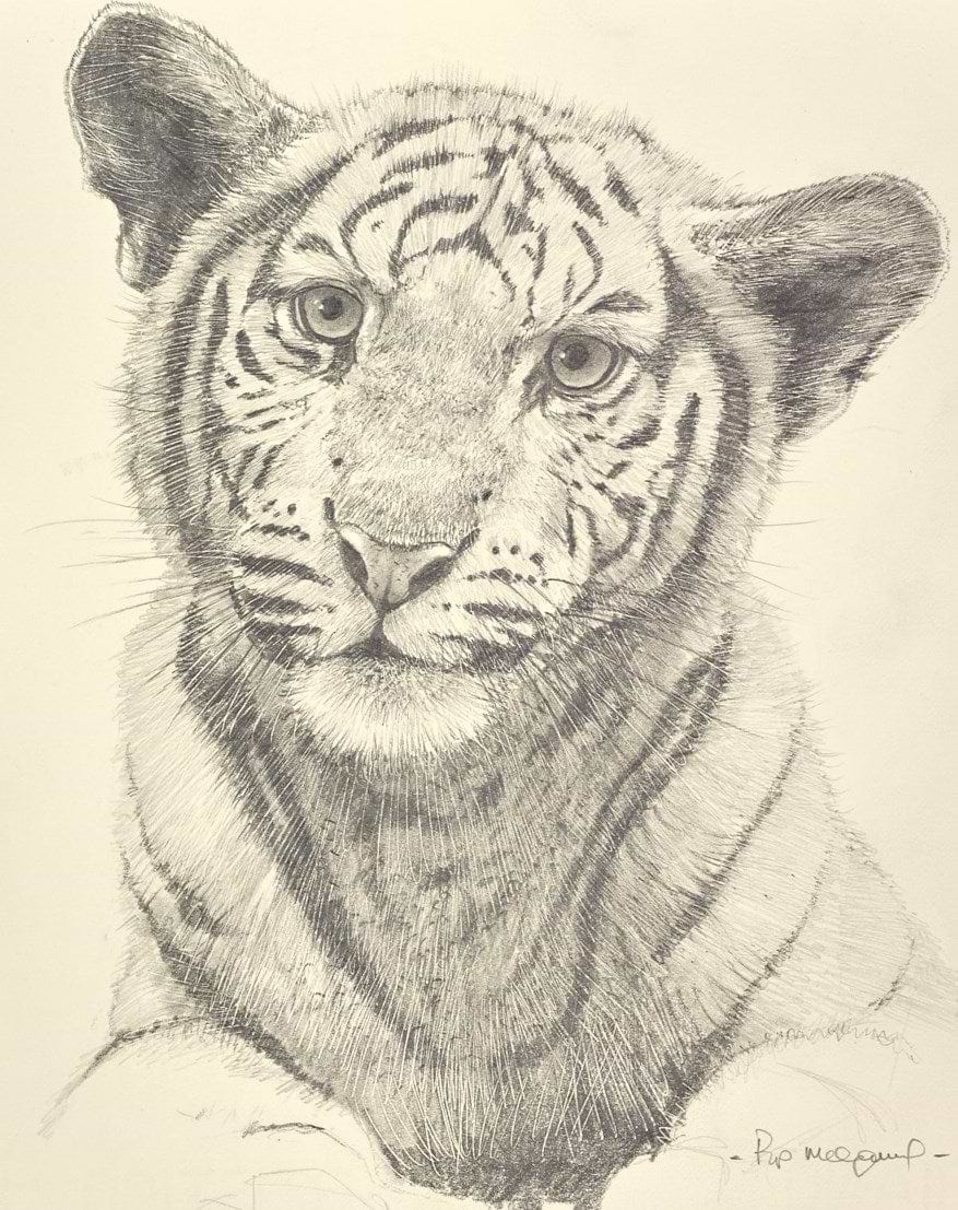 White Tiger Cub II