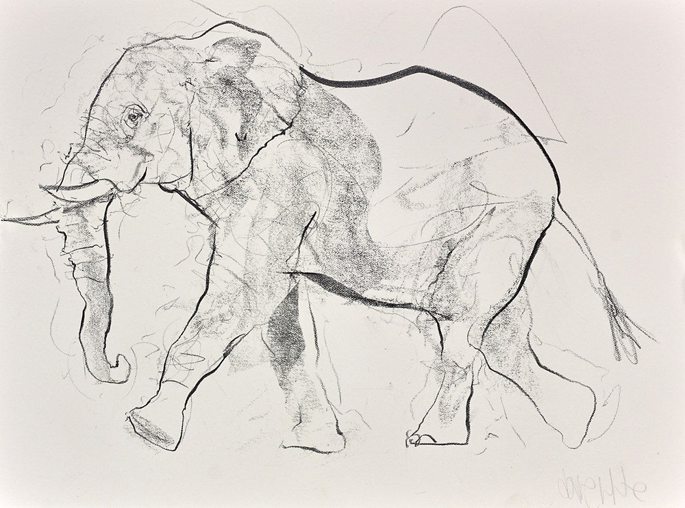 Elephant Study XXII