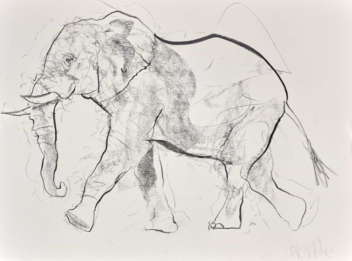 Elephant Study XXII