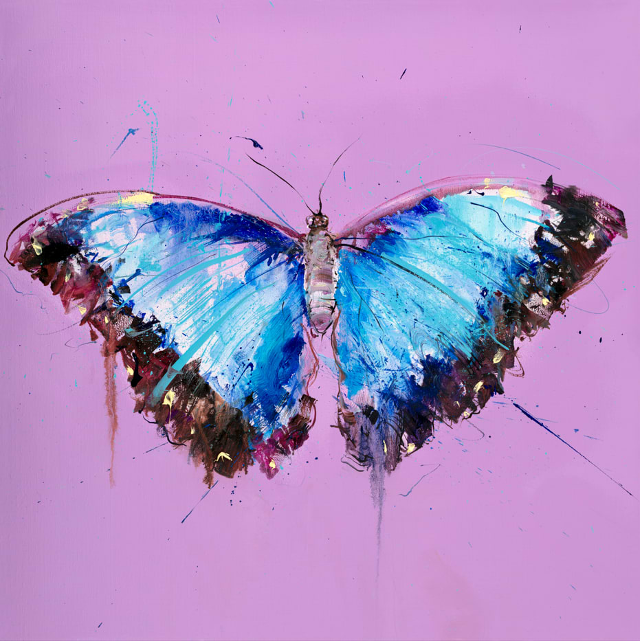 Morpho Butterfly
