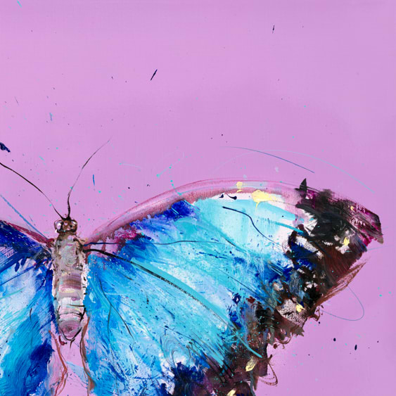 Morpho Butterfly