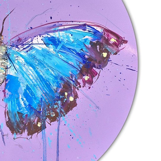 Morpho Butterfly (Study)