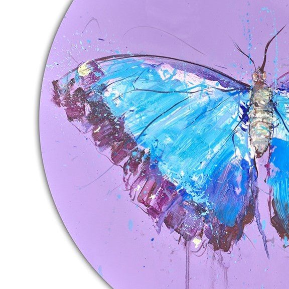 Morpho Butterfly (Study)