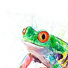 Tree Frog II