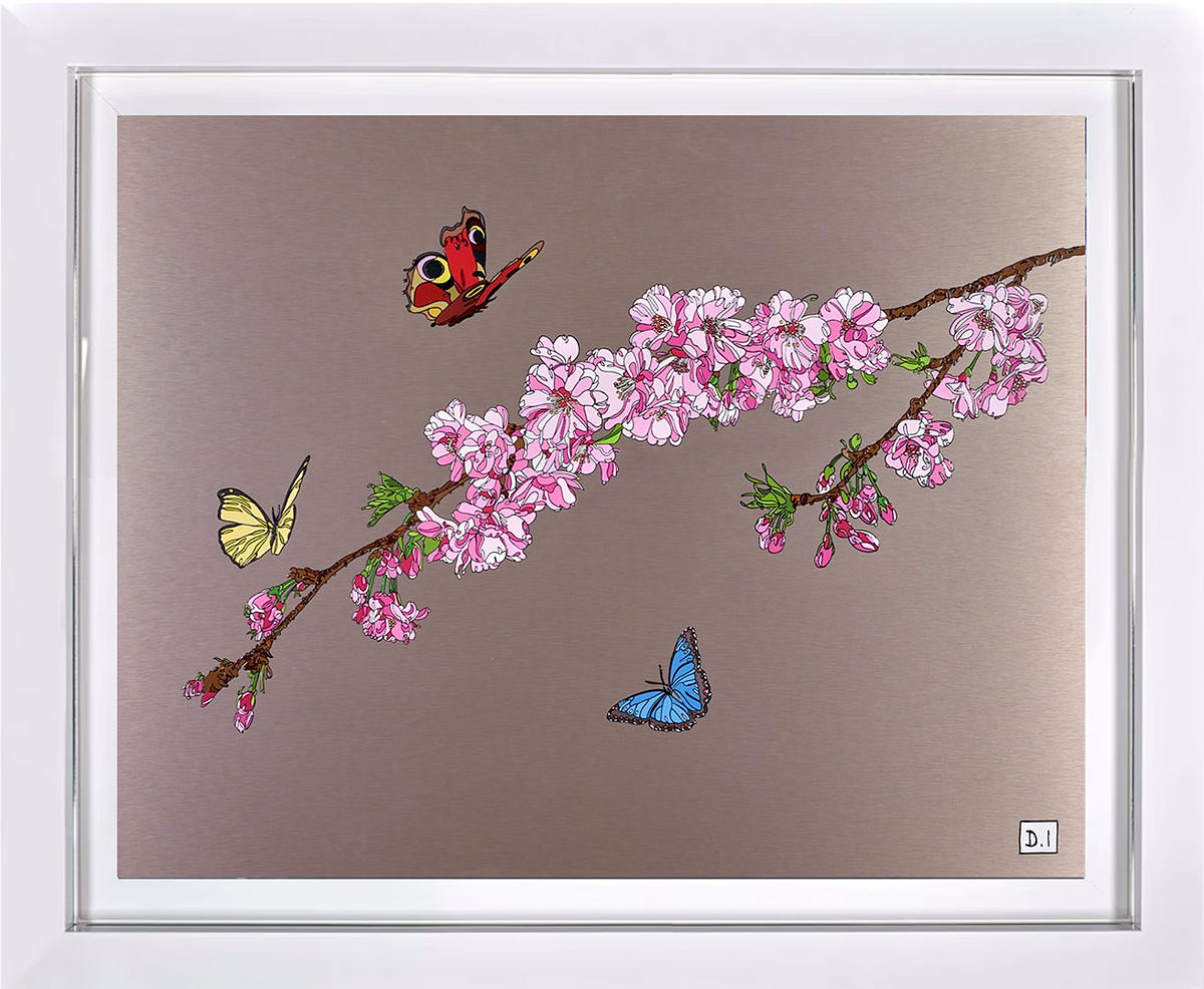 Blossoms And Butterflies