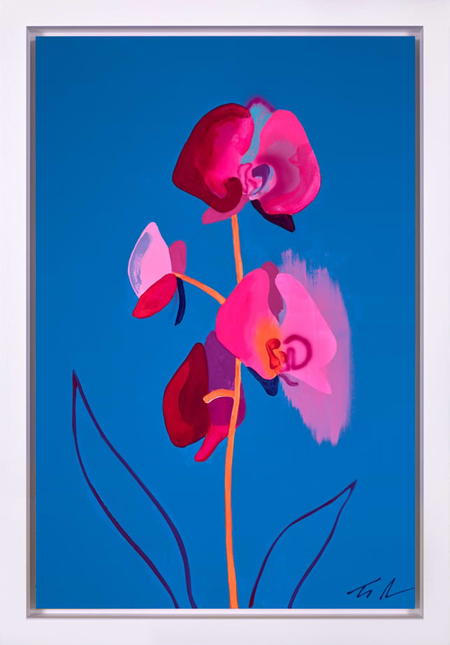 Orchid Blue