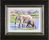 Elephant Days, Botswana