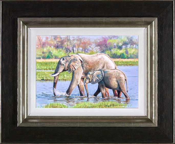 Elephant Days, Botswana