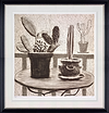 Cacti On Terrace