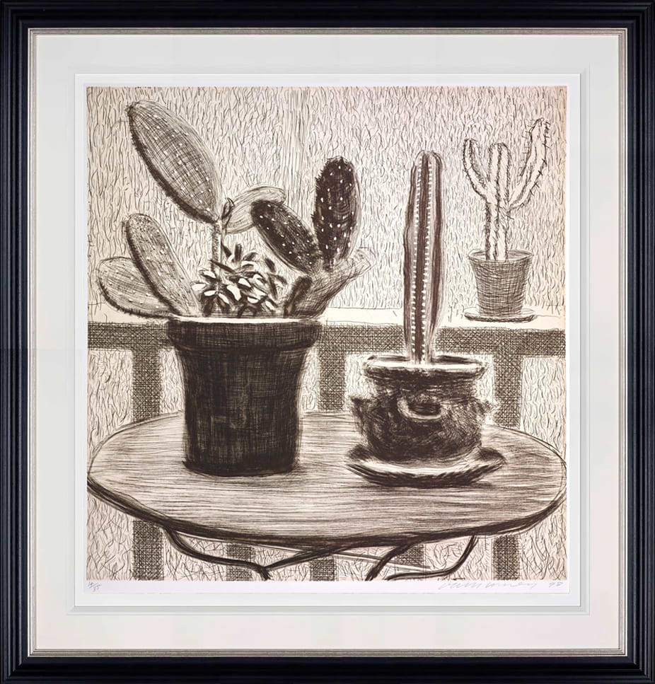 Cacti On Terrace