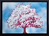 Day Blossom
