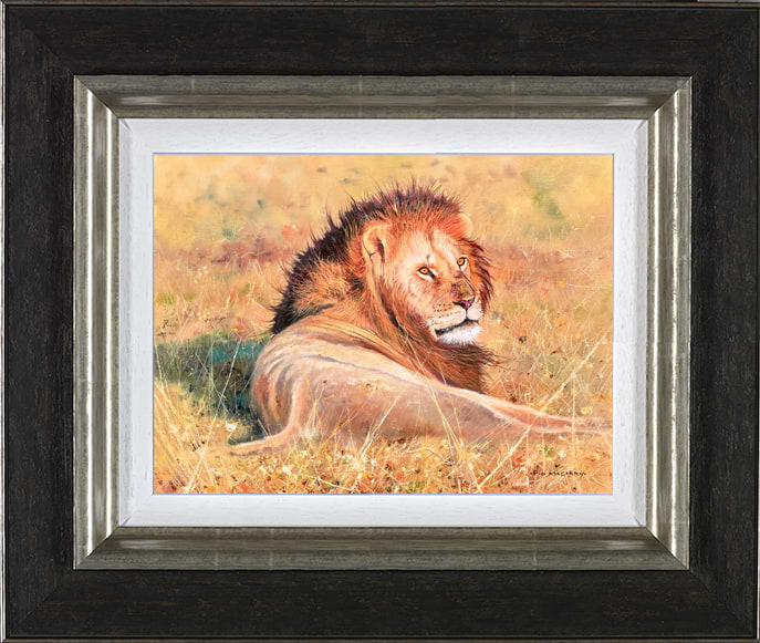 King Of The Plains