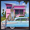 The Pink House
