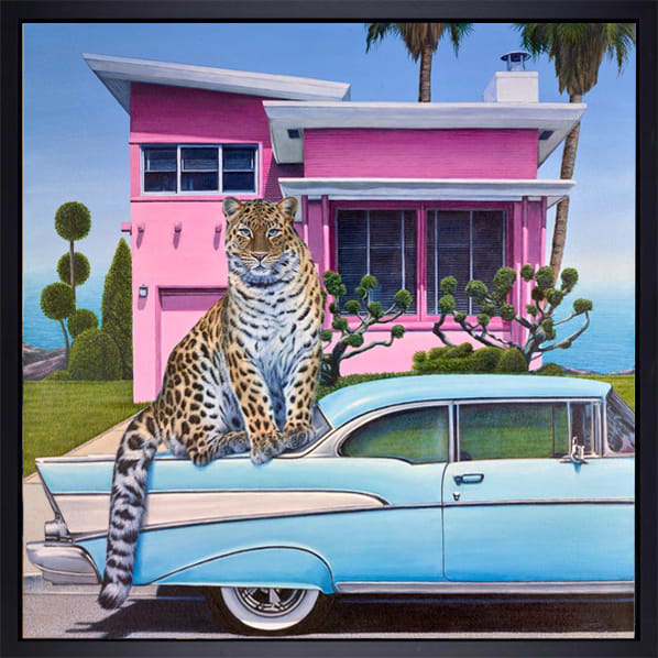 The Pink House
