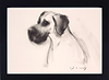 The Great Dane