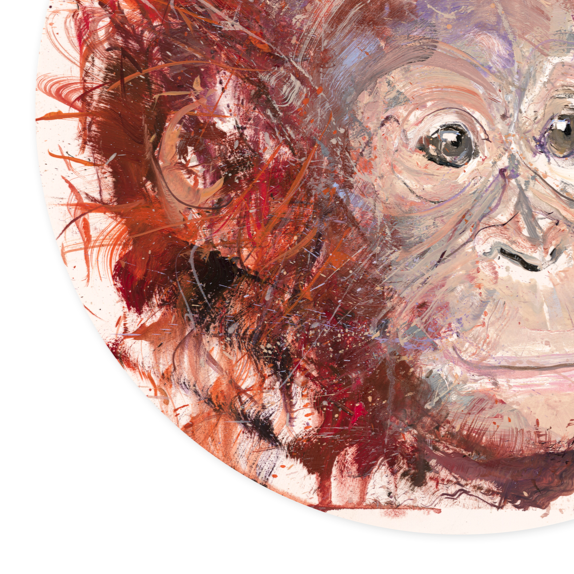 Young Orangutan (Study)