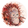 Young Orangutan (Study)