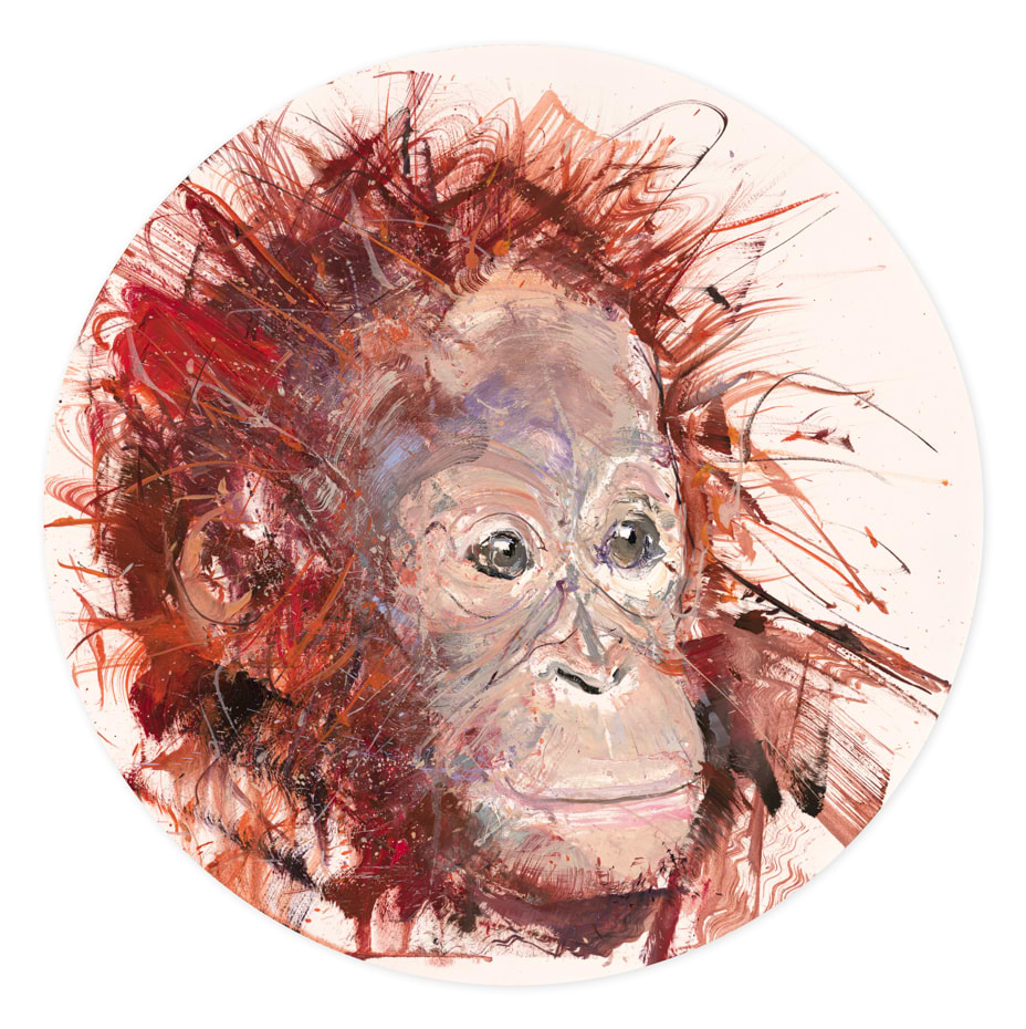 Young Orangutan (Study)