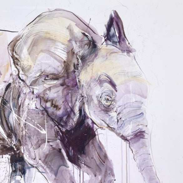Young Elephant II
