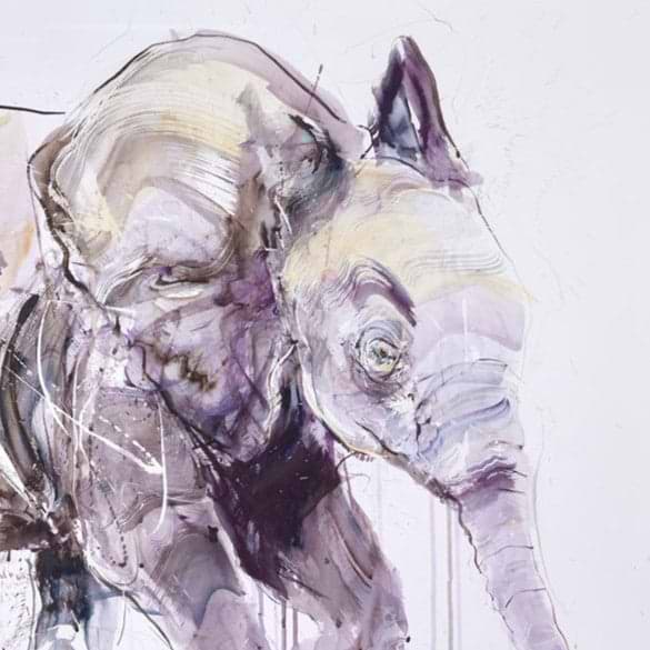 Young Elephant II