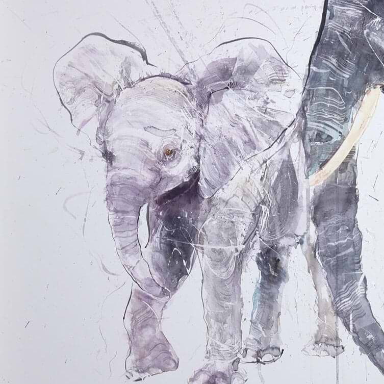 Elephant And Calf