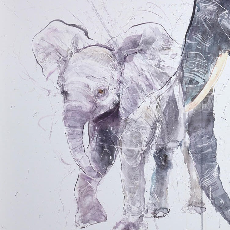 Elephant And Calf