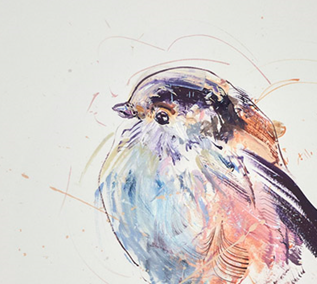 Long Tailed Tit Study III