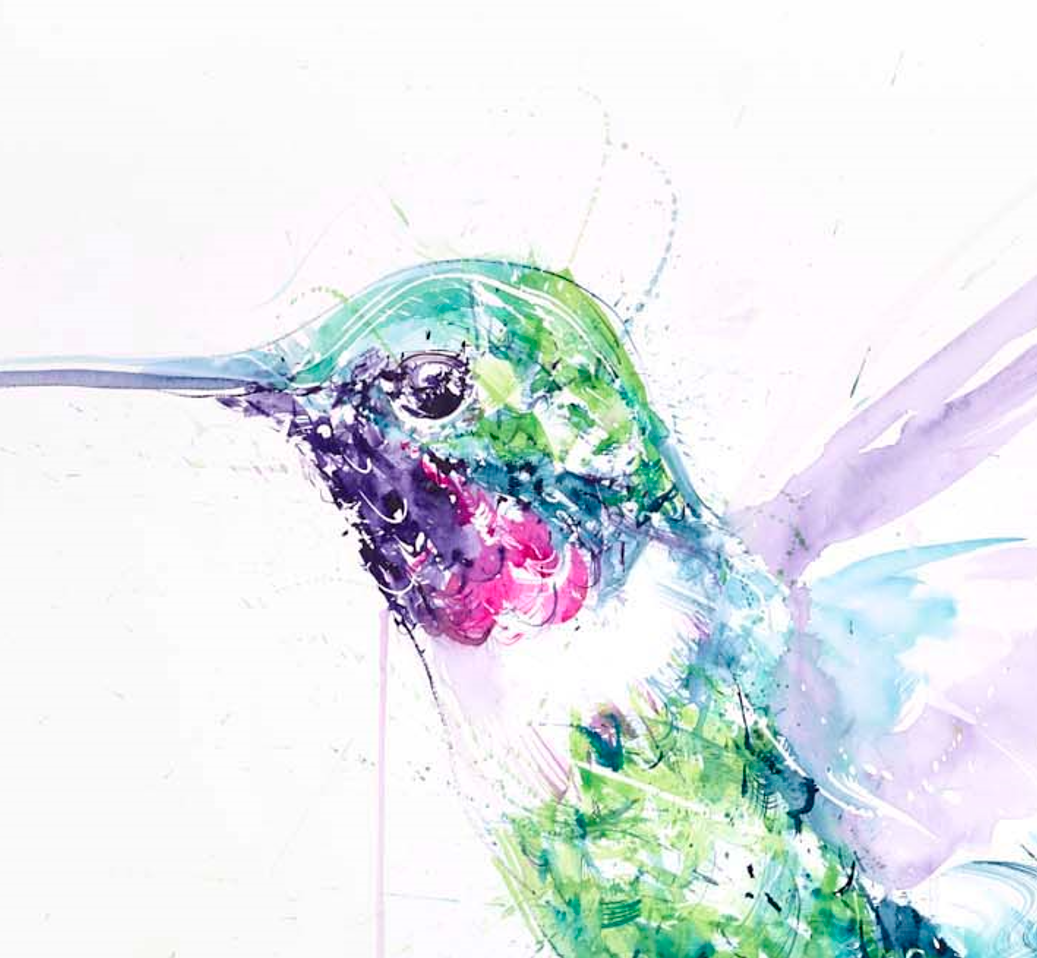 Hummingbird I