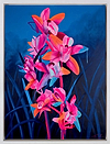Orange Cymbidium