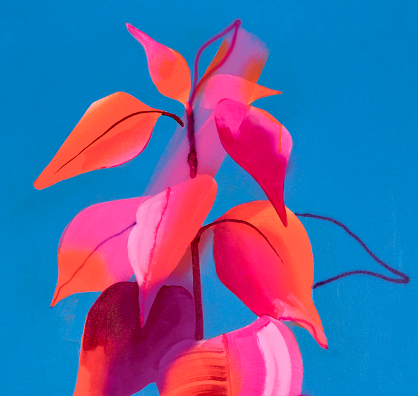 Naranja