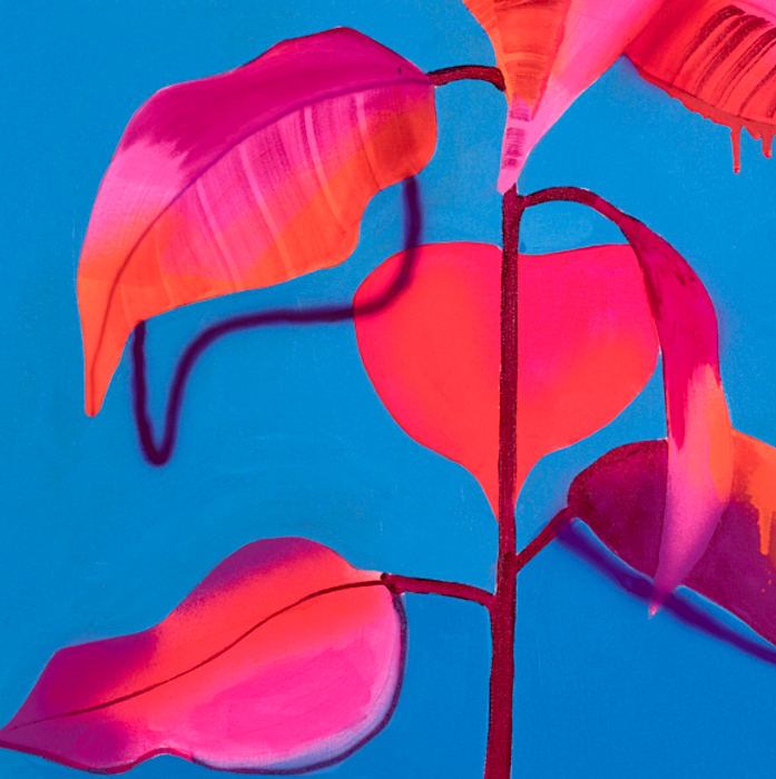 Naranja