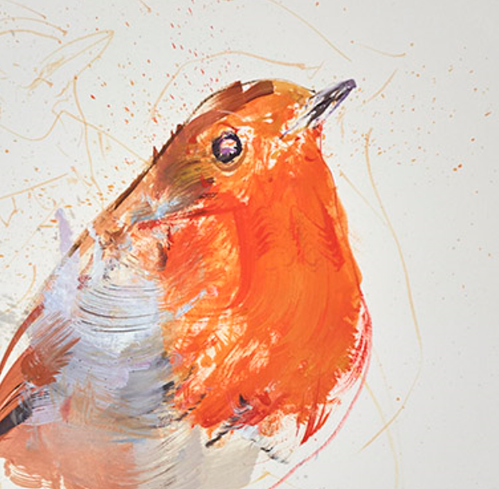 Robin Study IV