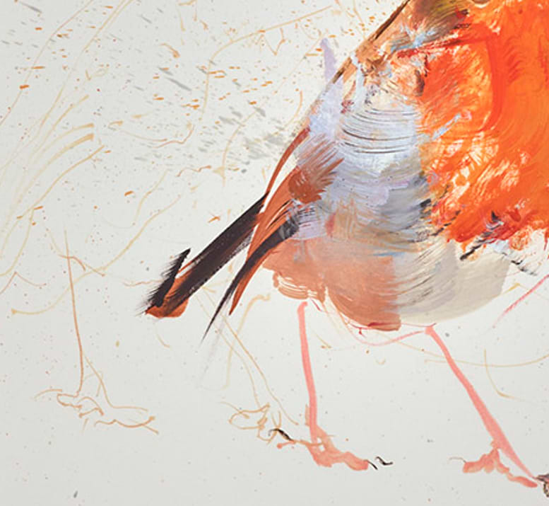 Robin Study IV