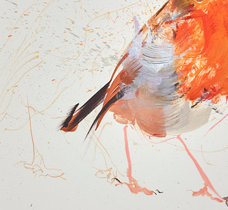 Robin Study IV