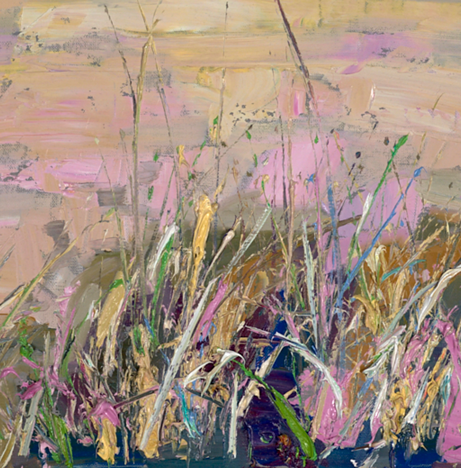 Rocks And Grasses, St Andrews
