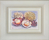 Scallops IV