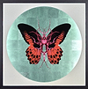 Therapy Crystal – Green