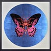 Therapy Crystal – Blue