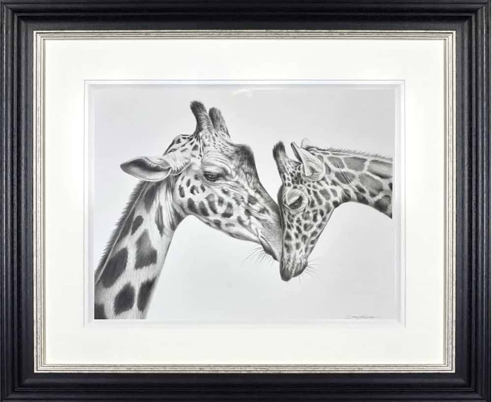 Giraffe Love