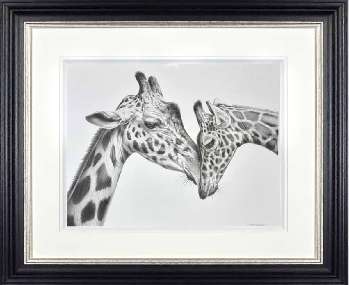 Giraffe Love
