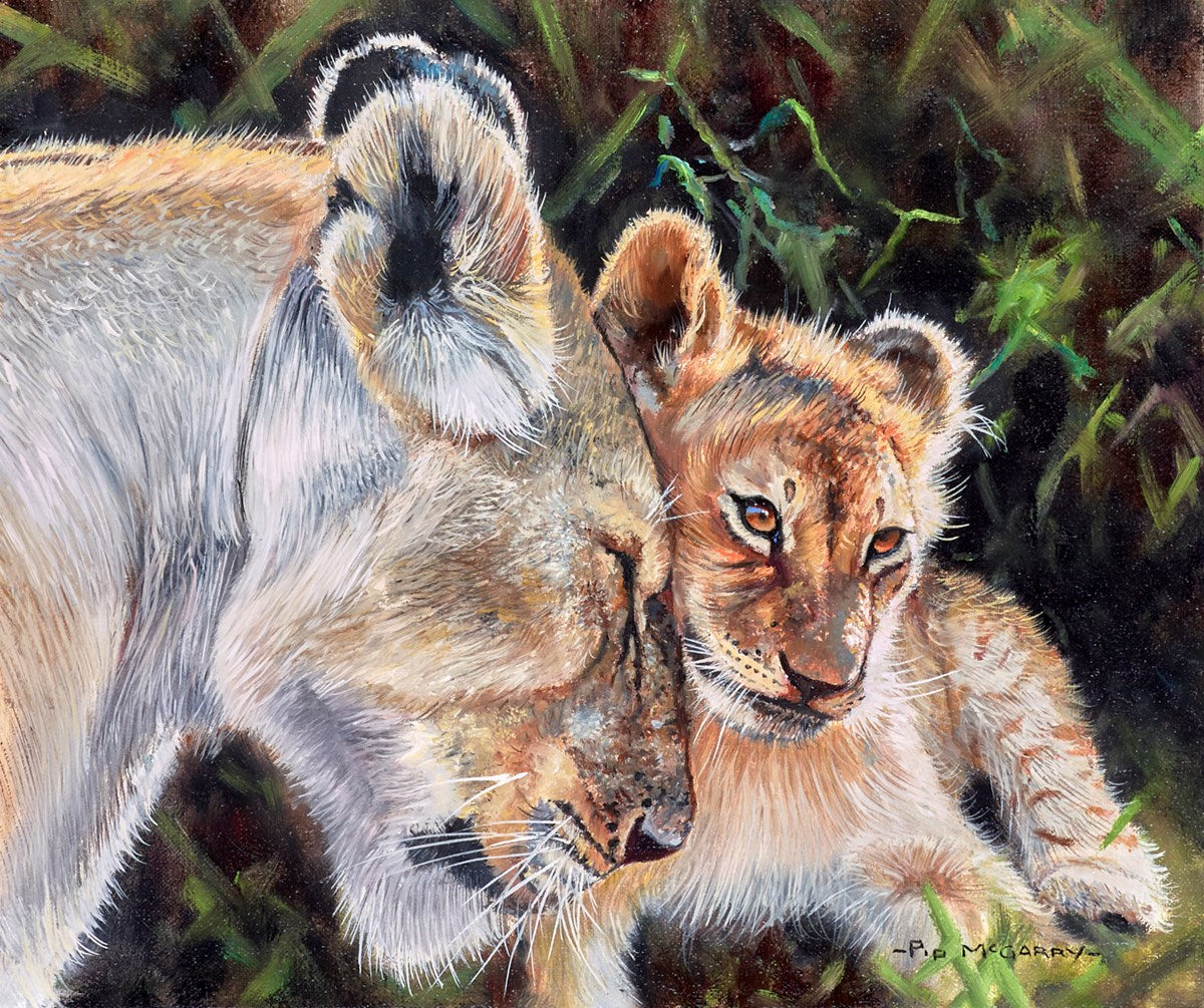 Affection