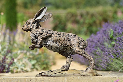 Hare Running - 2022