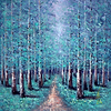 A Walk Through the Forest