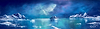 Ice Cold Sea