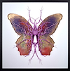 Therapy Purple Butterfly